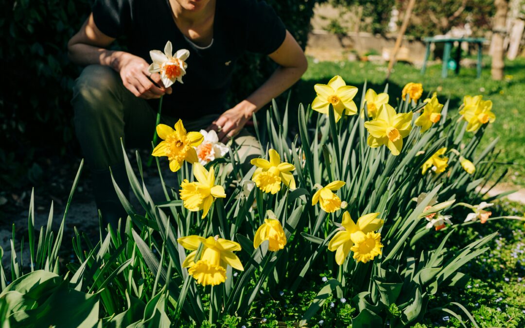 The Role of Nature in Recovery: How Springtime Outdoors Supports Healing