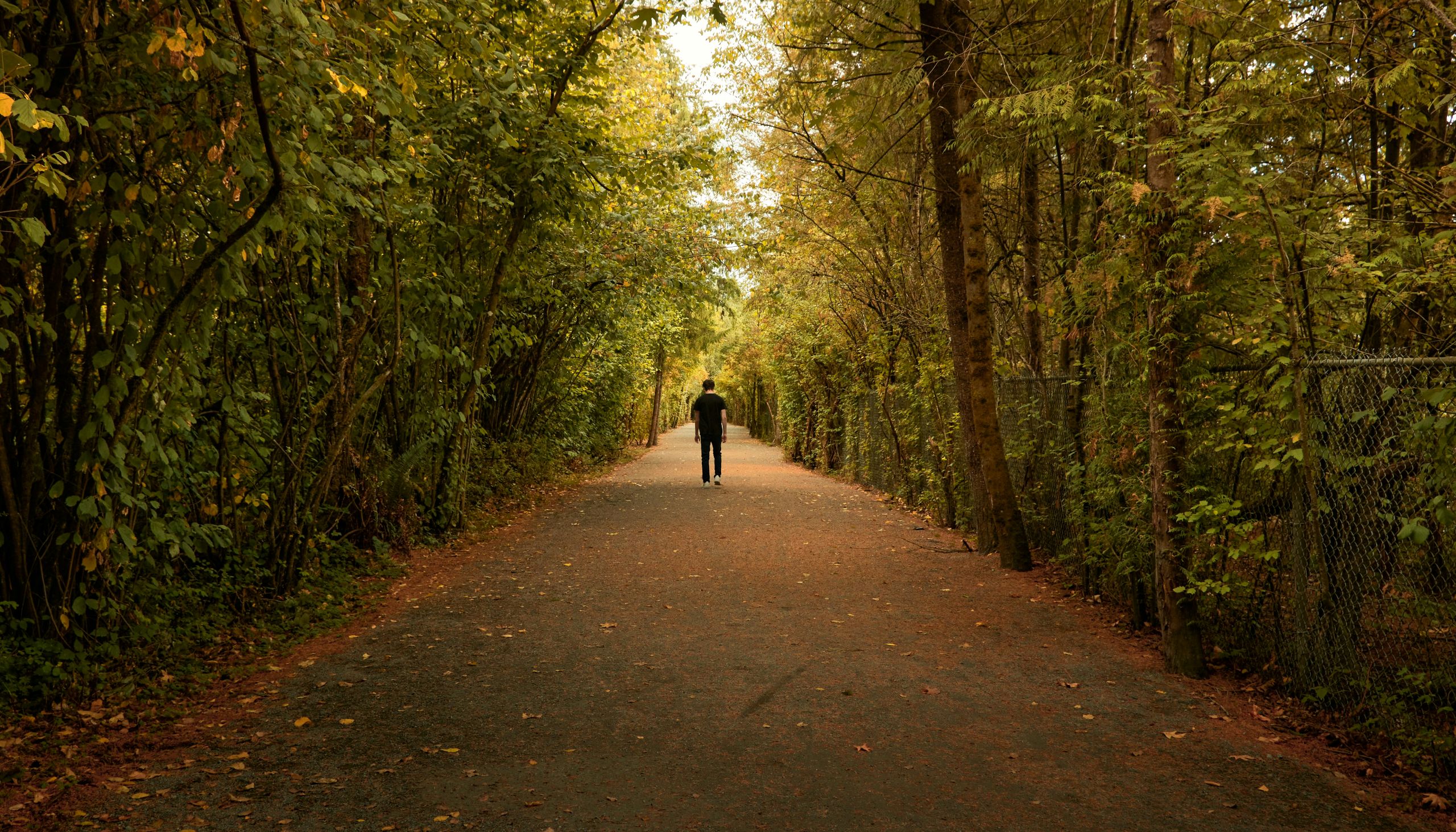 A person walks alone down a tree-lined path in a park, surrounded by dense green foliage with sunlight filtering through the leaves—a peaceful scene of recovery. A chain-link fence runs along the right side of the path.